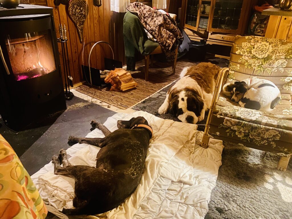 VovseBanden i hytten ved brændeovnen